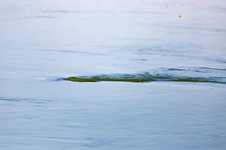smooth surface of the water as a backgroundの写真素材