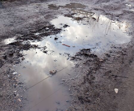 puddle on the ground in nature