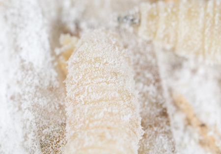 maggot in flour. macroの写真素材