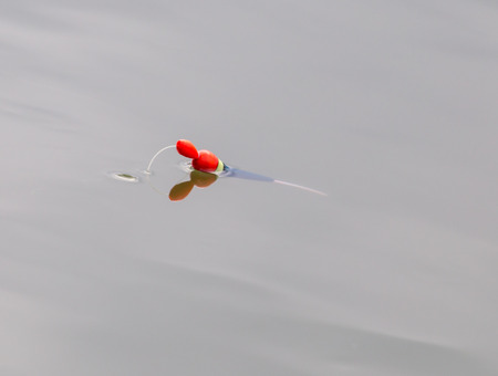 float for fishing on the surface of the waterの写真素材