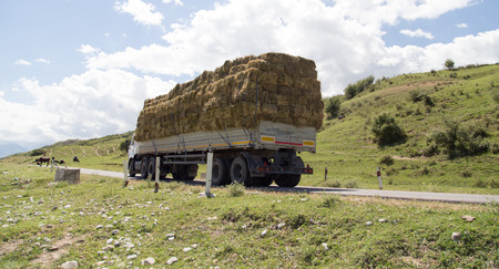 car laden with hay in natureの写真素材