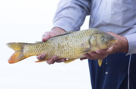 Fisherman caught a fishの写真素材