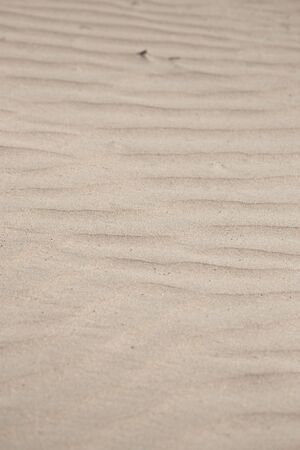sand in nature as backgroundの写真素材