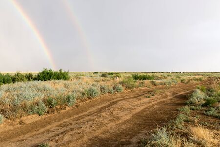 dirt road after rainの写真素材