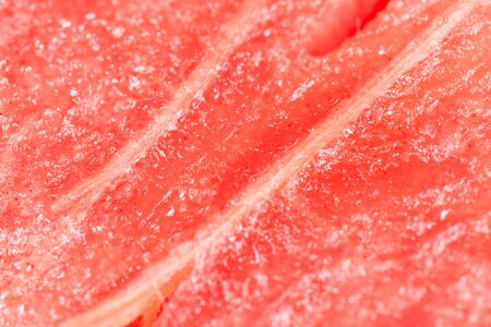 the flesh of watermelon. Super Macroの写真素材