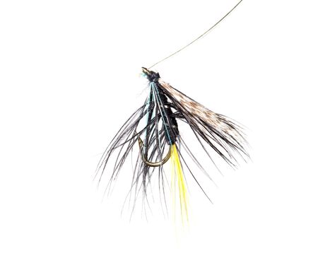 fly for fishing on a white background