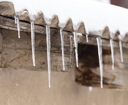 icicles on winter nature