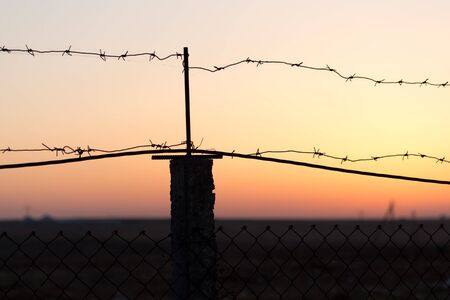 Barbed wire at sunsetの写真素材