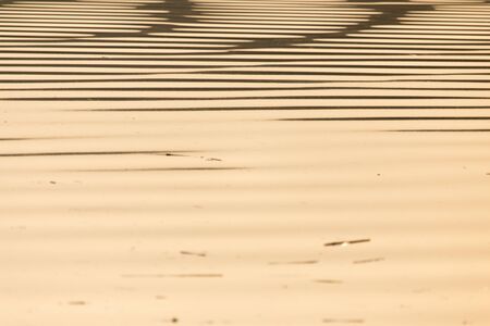 expanse of water on the sunset backgroundの写真素材