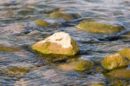 stones in the river as a backdropの写真素材
