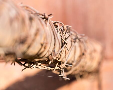 barbed wire on tube