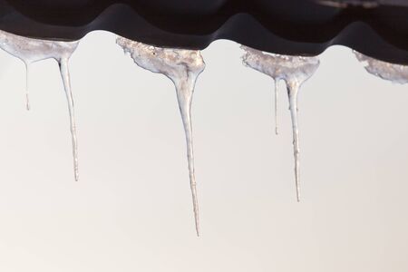icicles on the nature of the morningの写真素材
