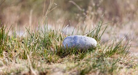 stones in natureの写真素材