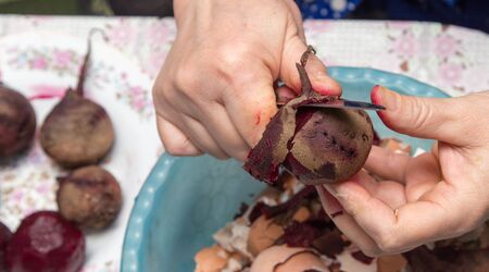 woman cleans the red beetsの写真素材