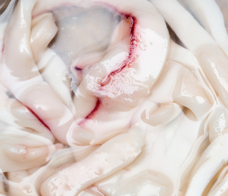 marinated squid as backgroundの写真素材