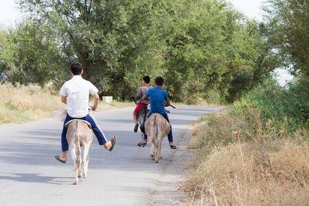 three boys on a donkey rides on the roadの写真素材
