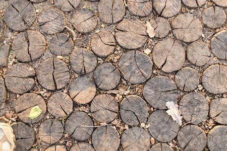 with wooden frame roadの写真素材