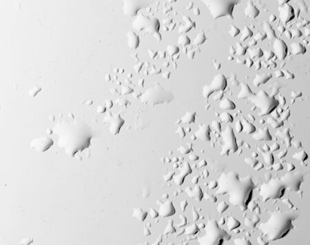 water drops on a white backgroundの写真素材