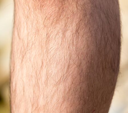 leg man. macroの写真素材