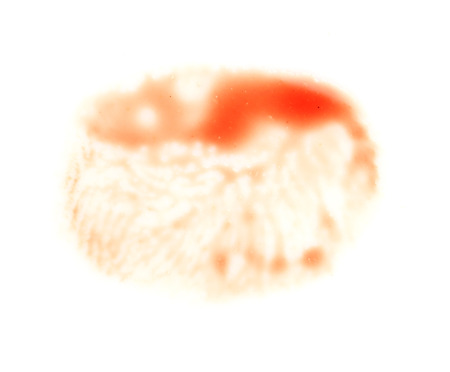 red blood on white background