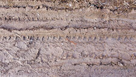 track from a car in a dirty groundの写真素材