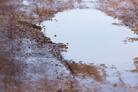 puddle on a dirt road