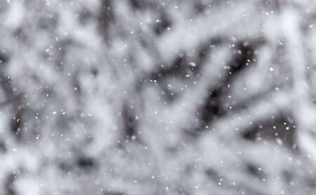 snow in the air as a background