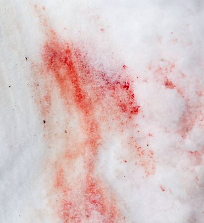 red blood on the snowの写真素材