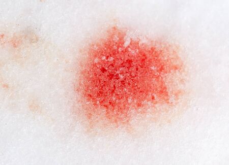 red blood on the snow