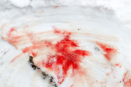 red blood on the snow