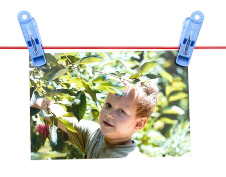 photo boy on a rope with a clothespin on a white backgroundの写真素材