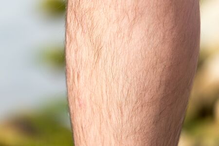 leg man. macroの写真素材