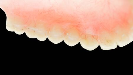 false teeth on a black backgroundの写真素材