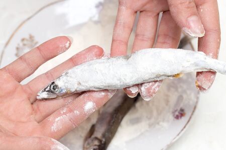 capelin in the flour for fryingの写真素材