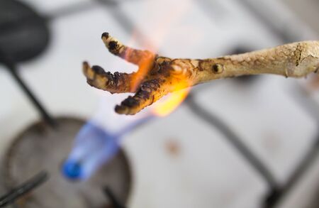 singeing chicken on fireの写真素材