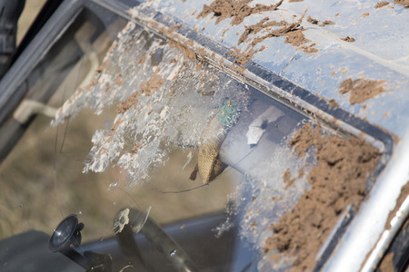 Mud on the car glassの写真素材