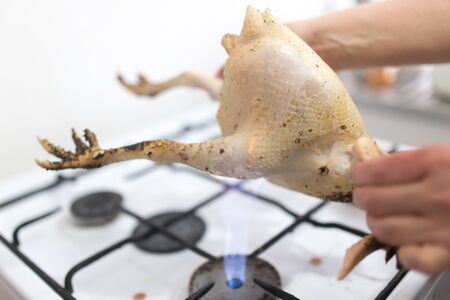 singeing chicken on fireの写真素材