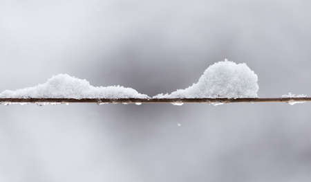 A Snow on the clotheslineの写真素材