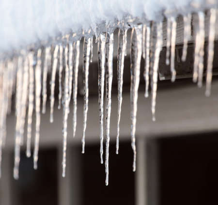 winter icicles on the sun dawn