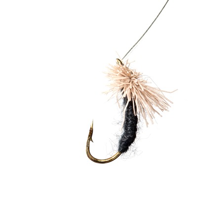 fly for fishing on a white background .の写真素材