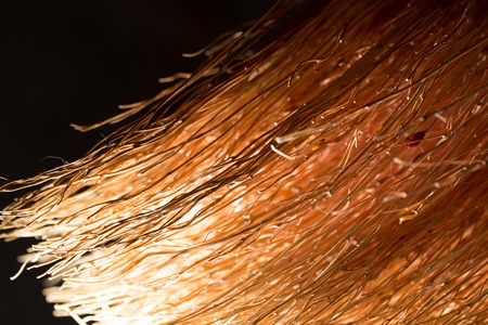 Detail of a broom as a background .の写真素材