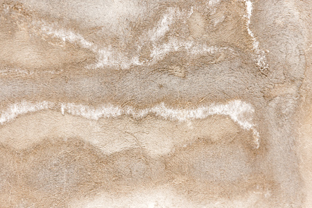 White salt on concrete wall as background .の写真素材