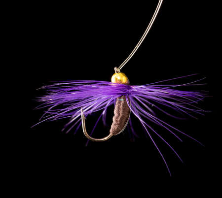 fly to catch fish on a black background .の写真素材