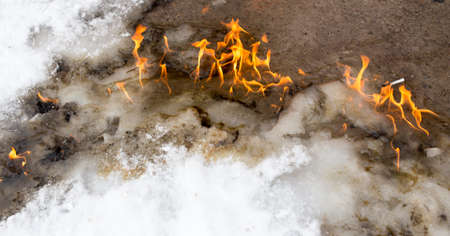fiery flame on the white snow in winter .