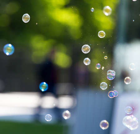 Beautiful soap bubbles fly in the nature .の写真素材