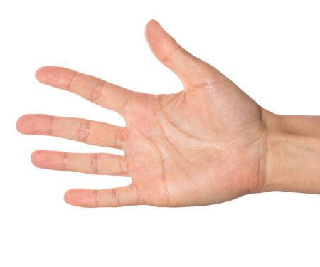 Female hand isolated on a white backgroundの写真素材