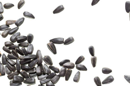 Fried black seeds isolated on white background .の写真素材
