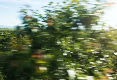 Nature in motion from the train window .の写真素材