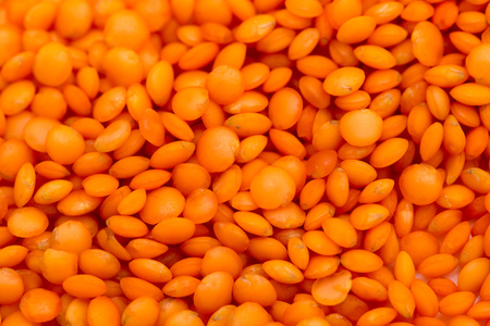 Red seeds of lentils as a background. macroの写真素材