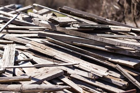Old wooden boards like trash on natureの写真素材